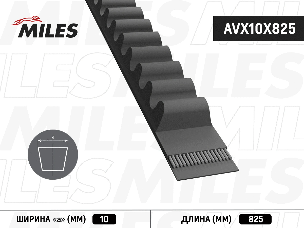 Courroie trapézoïdale MILES AVX10X825