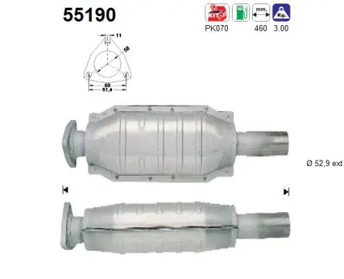 Catalyseur AS 55190