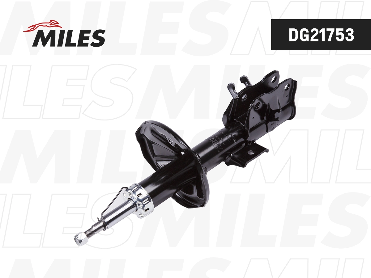 Amortisseur MILES DG21753