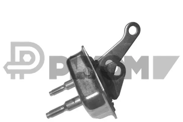 Suspension, corps de l'essieu PLYOM P030432