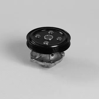 Pompe à eau, refroidissement du moteur GK 987519