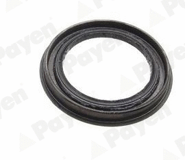 Bague d'étanchéité, moyeu de roue PAYEN NJ695