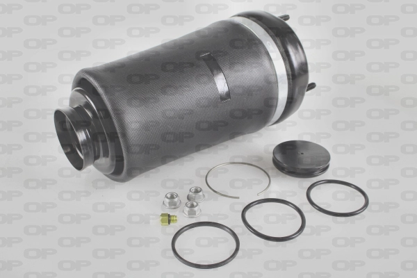 Ressort pneumatique, châssis OPEN PARTS ASP4007.00