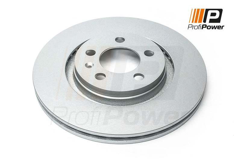 Disque de frein ProfiPower 3B1003