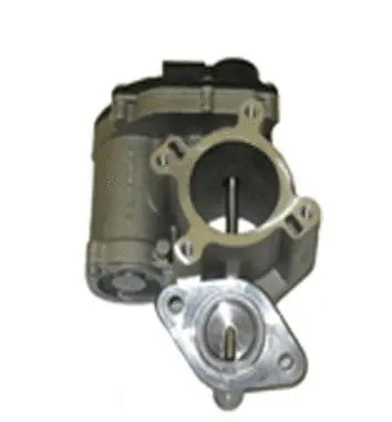 Vanne EGR ASSO 70.0082