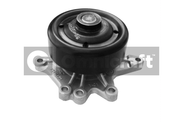 Pompe à eau, refroidissement du moteur Omnicraft 2317000