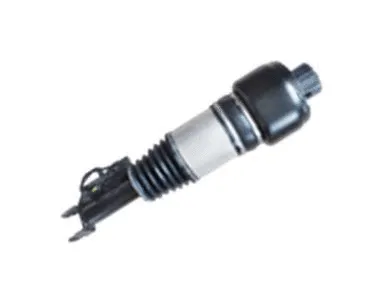 Armortisseur pneumatique MAXTRAC 501120016R