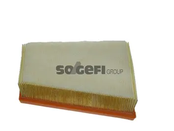 Filtre à air FRAM CA10651