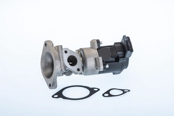 Vanne EGR BorgWarner 710976R