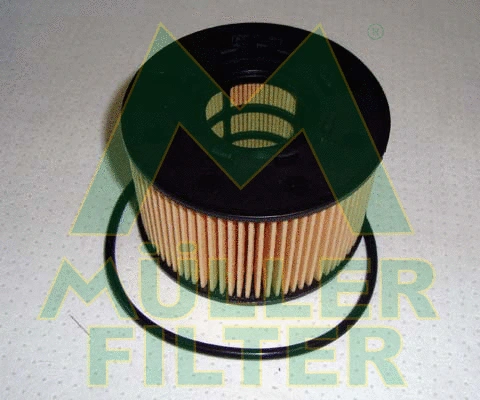 Filtre à huile MULLER FILTER FOP124