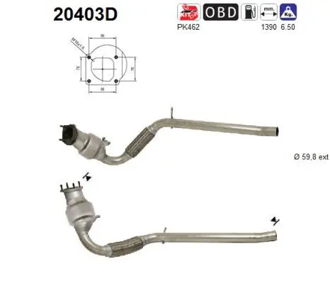 Catalyseur AS 20403D