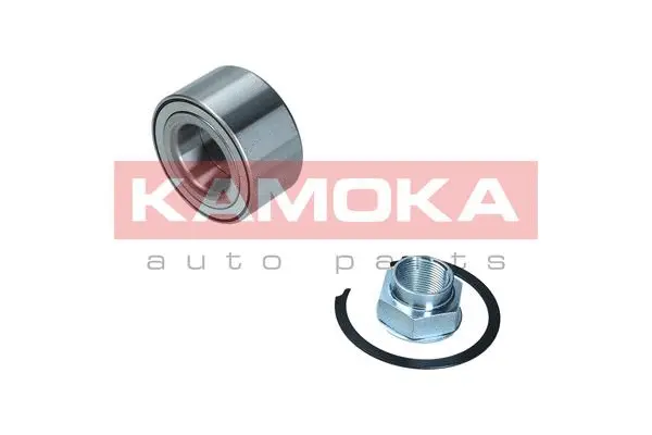 Kit de roulements de roue KAMOKA 5600120