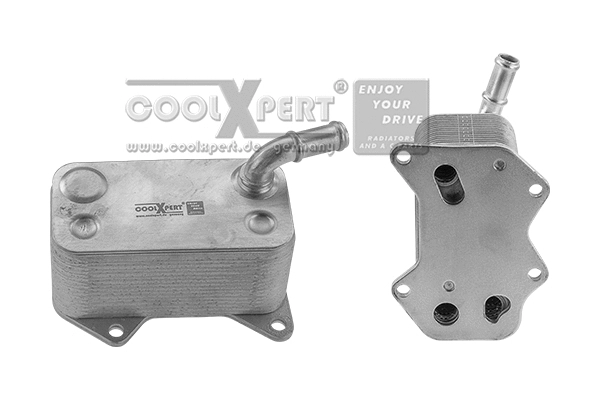 Radiateur d'huile BBR Automotive 001-10-16453