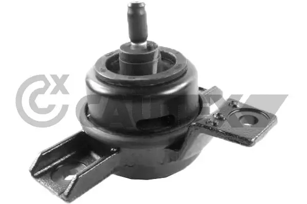 Support moteur CAUTEX 756344