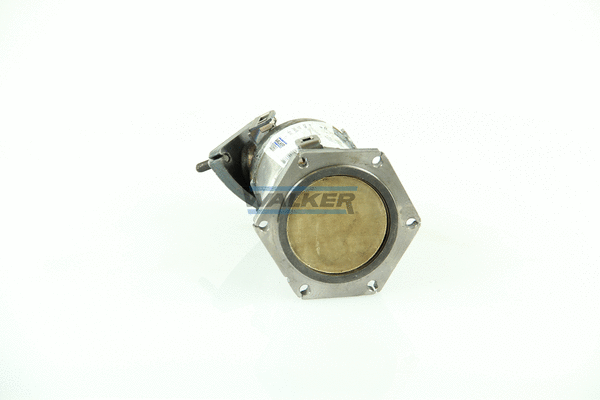 Catalyseur WALKER 20667