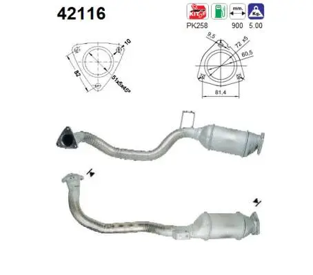 Catalyseur AS 42116