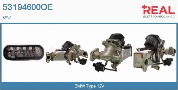 Module-EGR REAL 53194600OE