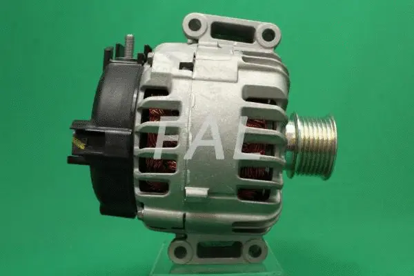 Alternateur FAL Anlasser- und Lichtmaschinenservice F016014/1