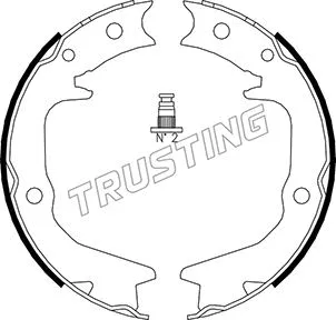 Jeu de mâchoires de frein, frein de stationnement TRUSTING 064.177