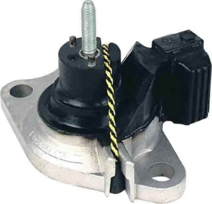 Support moteur MTR 12130253