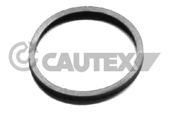 Joint, thermostat CAUTEX 954208