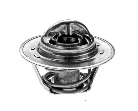 Thermostat, liquide de refroidissement Omnicraft 2457887