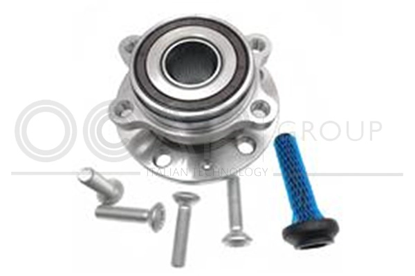 Kit de roulements de roue OCAP 6120104