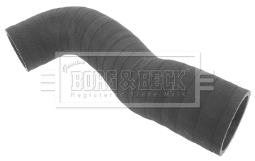 Gaine de suralimentation BORG & BECK BTH1214