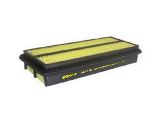 Filtre à air ACDelco Oceania ACA178