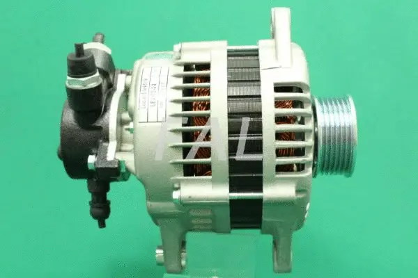 Alternateur FAL Anlasser- und Lichtmaschinenservice F006798/5