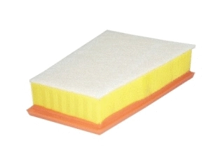 Filtre à air Fram-Au CA10651