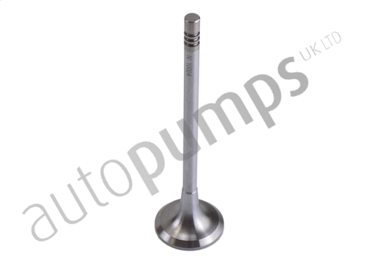 Soupape d'admission Autopumps UK AIV11003