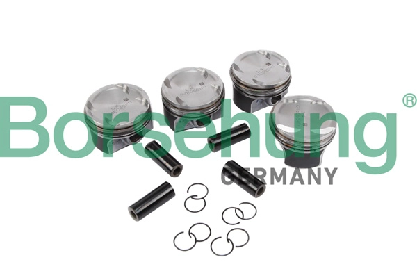 Piston Borsehung B11134