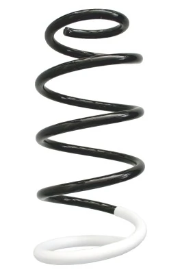 Ressort de suspension SPIDAN 86709