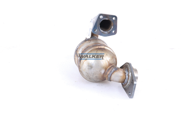 Catalyseur WALKER 20897