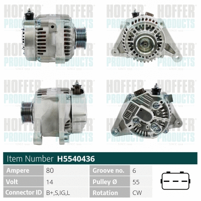 Alternateur HOFFER H5540436