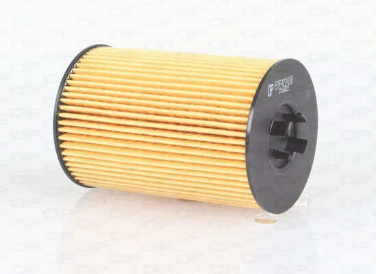 Filtre à huile OPEN PARTS EOF4224.10
