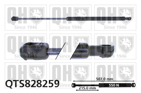 Vérin de hayon, de coffre QUINTON HAZELL QTS828259