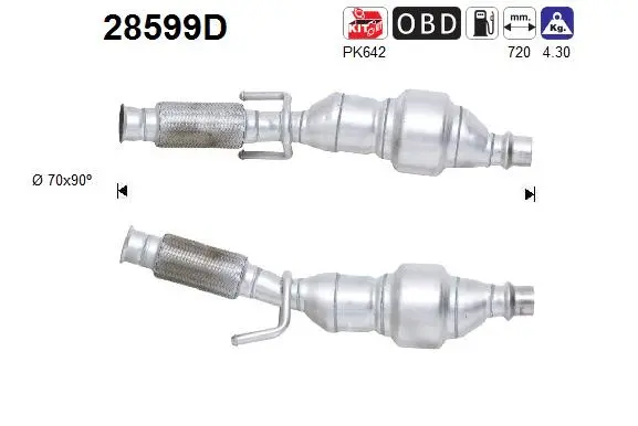 Catalyseur AS 28599D