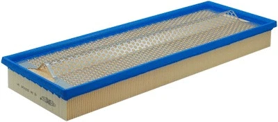 Filtre à air GOODWILL AG 244