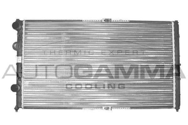 Radiateur, refroidissement du moteur AUTOGAMMA 103182