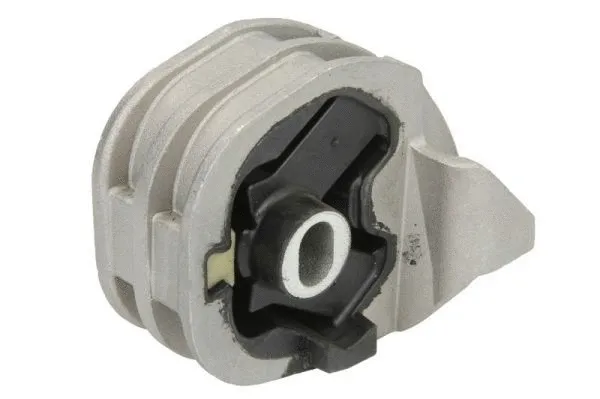 Support, suspension du moteur REINHOCH RH12-2004