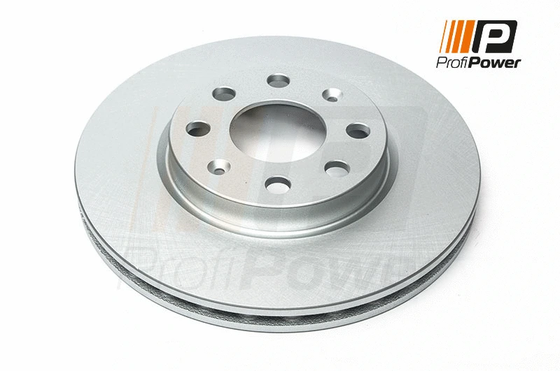 Disque de frein ProfiPower 3B1013