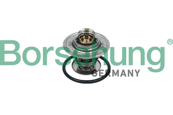 Thermostat, liquide de refroidissement Borsehung B18246