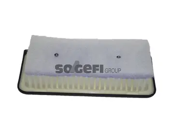 Filtre à air FRAM CA10296