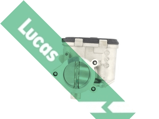 Corps papillon LUCAS LTH524