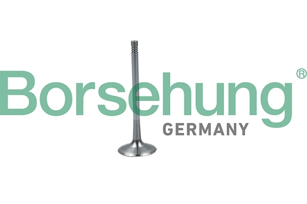 Soupape d'admission Borsehung B19026