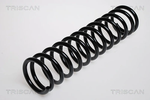 Ressort de suspension TRISCAN 8750 29035