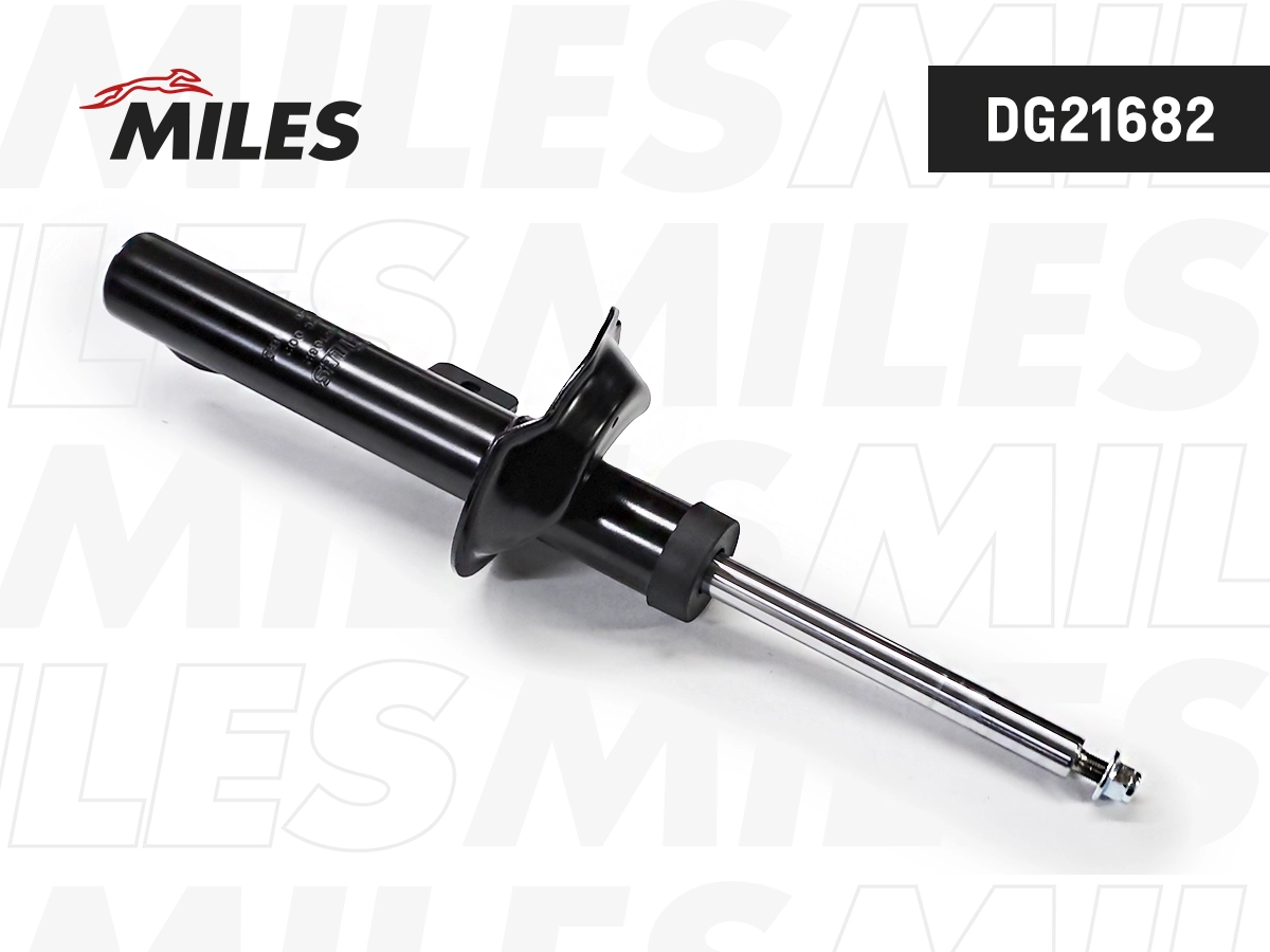 Amortisseur MILES DG21682