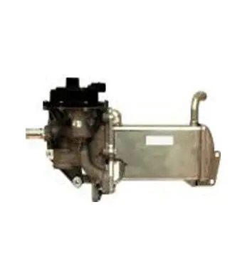 Vanne EGR ASSO 70.0006